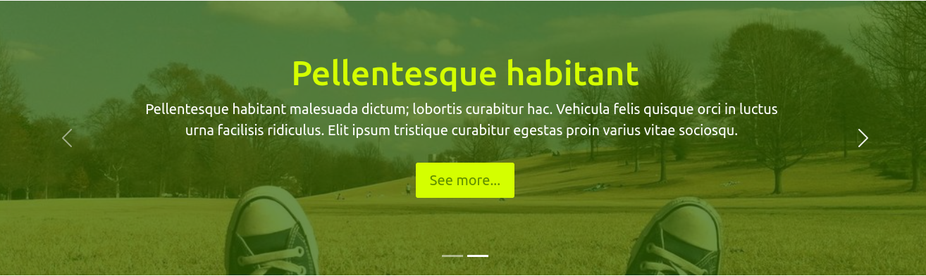 Bootstrap Carousel