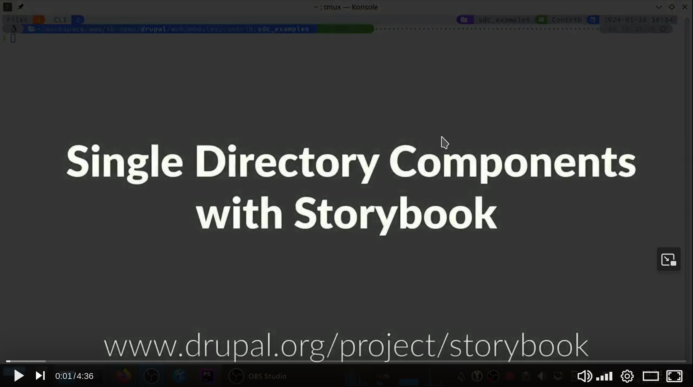 Storybook Video Screenshot SDC