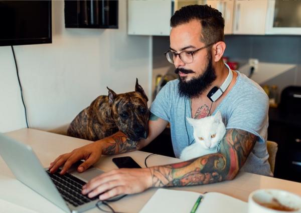 Man with pets using VMware