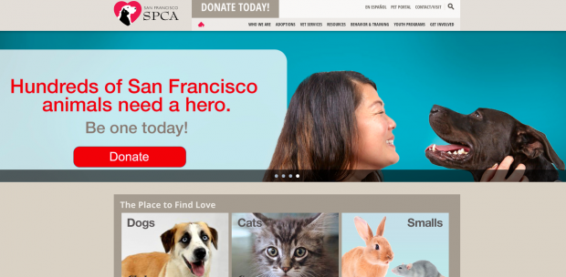 Cats - San Francisco SPCA