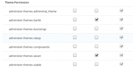 Theme Permission | Drupal.org
