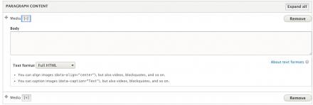 drupal paragraphs