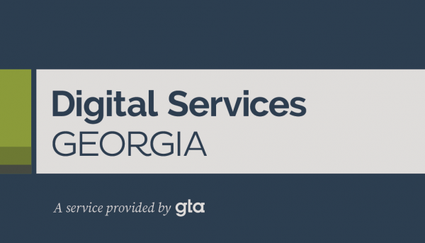 Digital Services Georgia