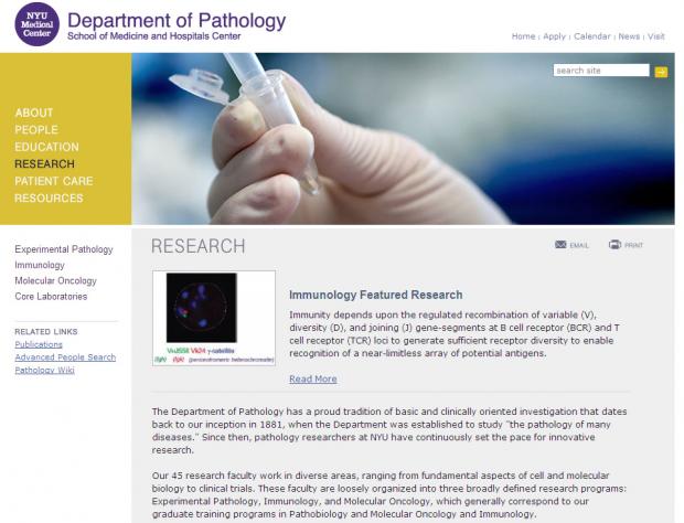 NYU Langone Medical Center - Department of Pathology | Drupal.org