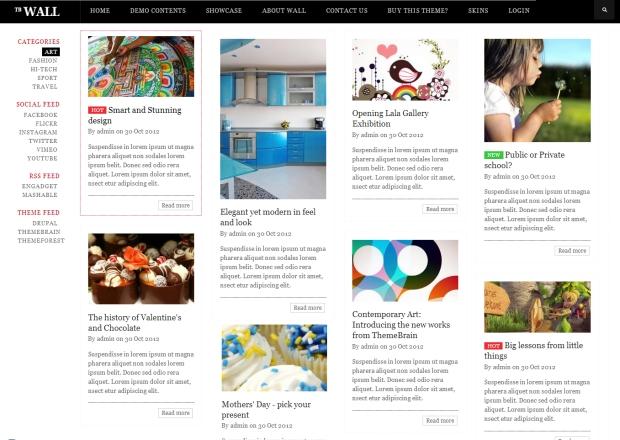 TB Wall - Premium Drupal theme with Pinterest design