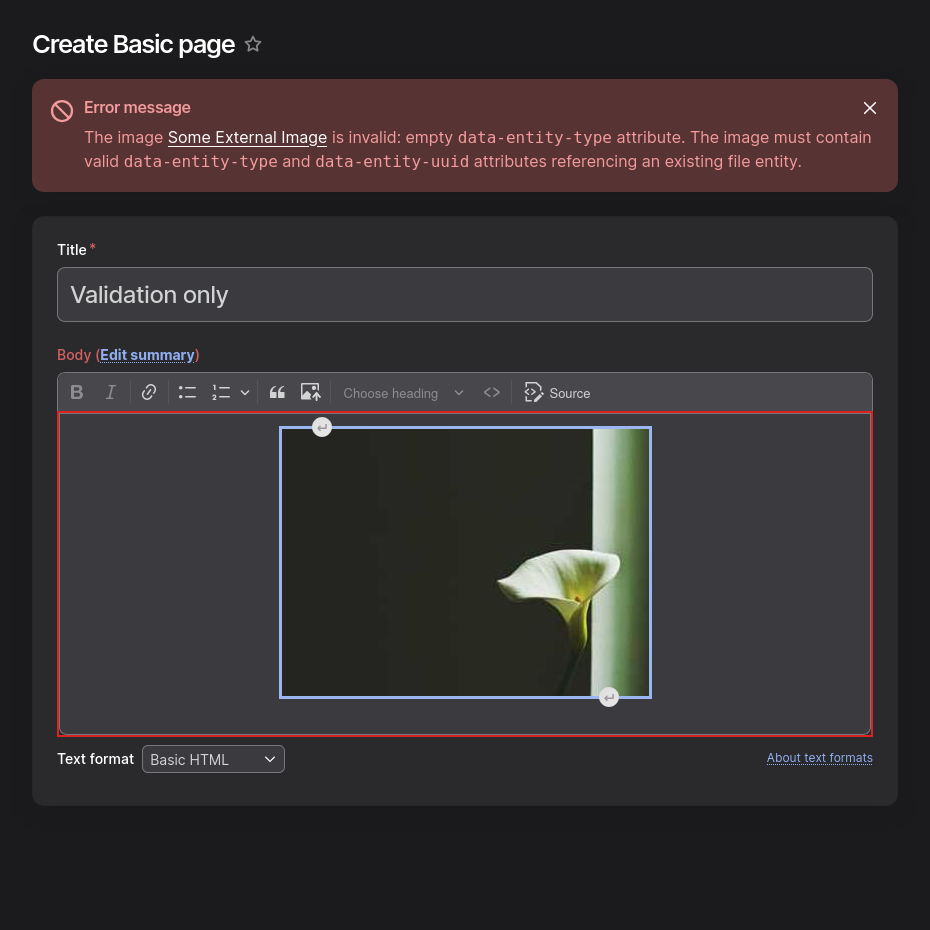 Validation error - rendered view